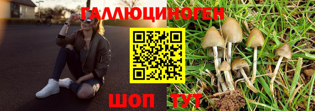 Псилоцибиновые грибы ЛСД  Вход с VPN  Галлюциногенные грибы Cubensis  Вольск 