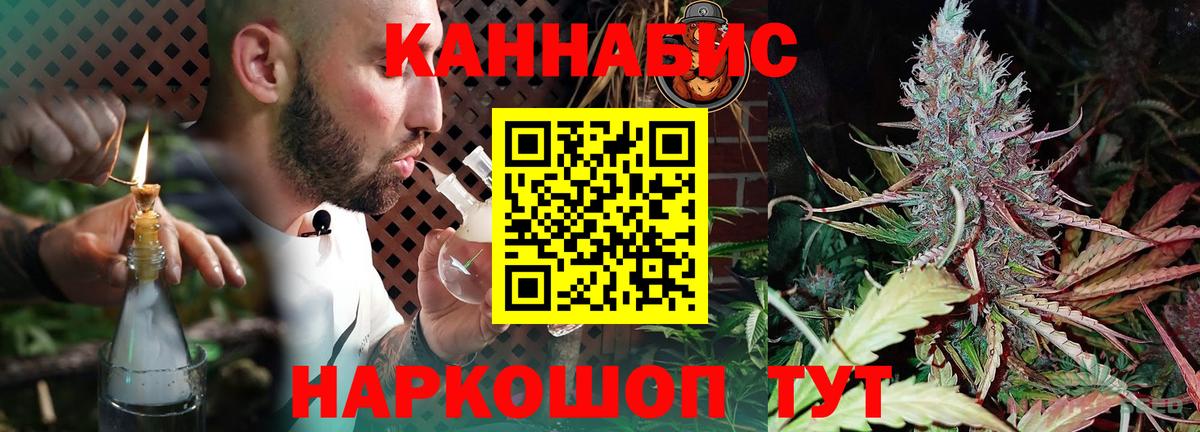 Конопля марихуана Вольск